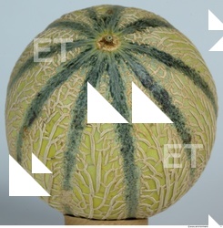Melon Galia 0020