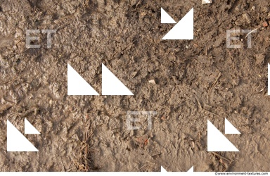 Mud Soil