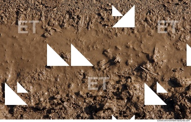 Mud Soil