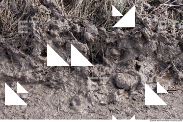Mud Soil
