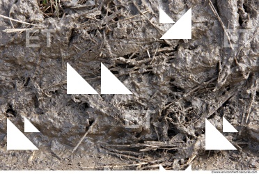 Mud Soil