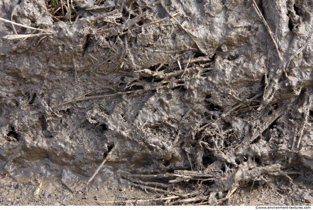 Mud Soil