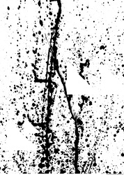 Splatter 0050