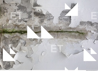 Wall Plaster Paint Peeling