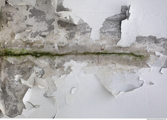 Wall Plaster Paint Peeling