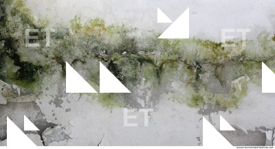 Wall Plaster Leaking