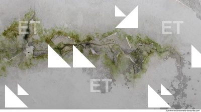 Wall Plaster Leaking