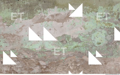 Walls Plaster Damaged