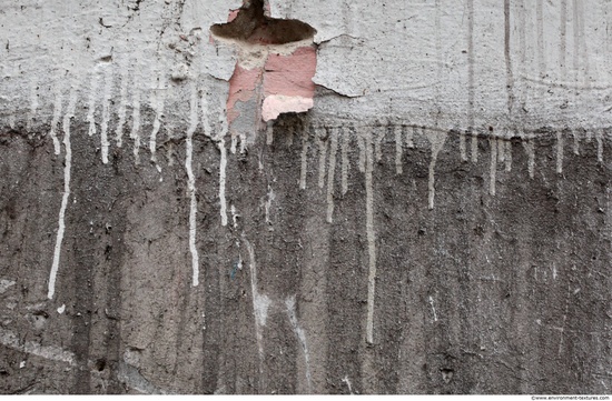 Wall Plaster Leaking