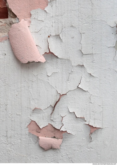 Wall Plaster Paint Peeling