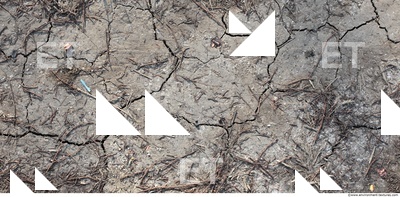 Cracked Soil