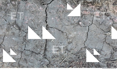 Cracked Soil