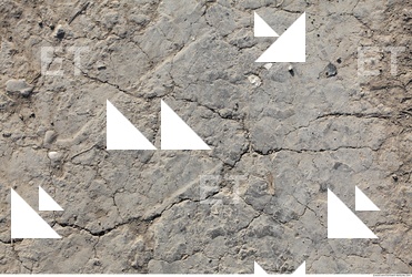 Cracked Soil