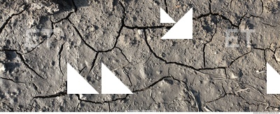 Cracked Soil