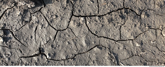 Cracked Soil