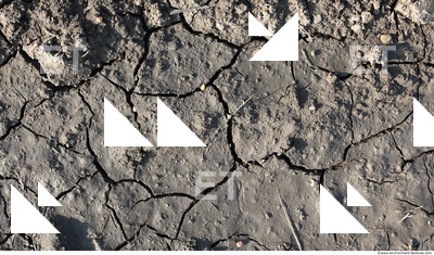 Cracked Soil