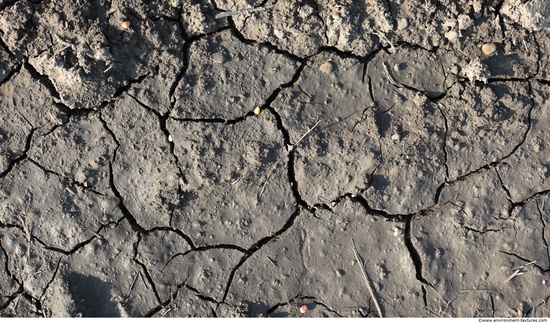 Cracked Soil