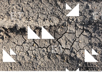 Cracked Soil