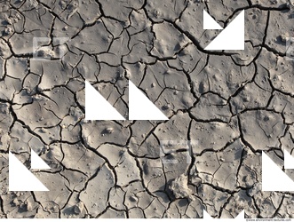 Cracked Soil