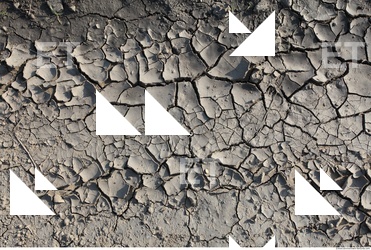 Cracked Soil