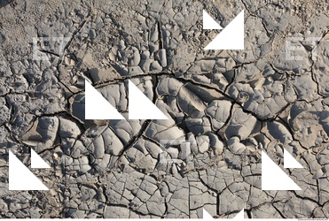 Cracked Soil