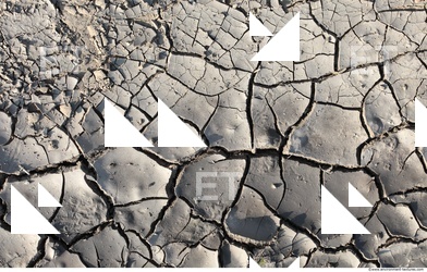 Cracked Soil