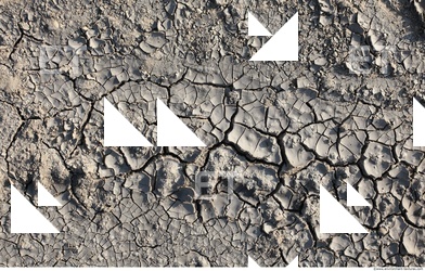 Cracked Soil