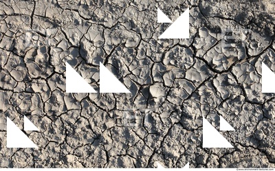 Cracked Soil
