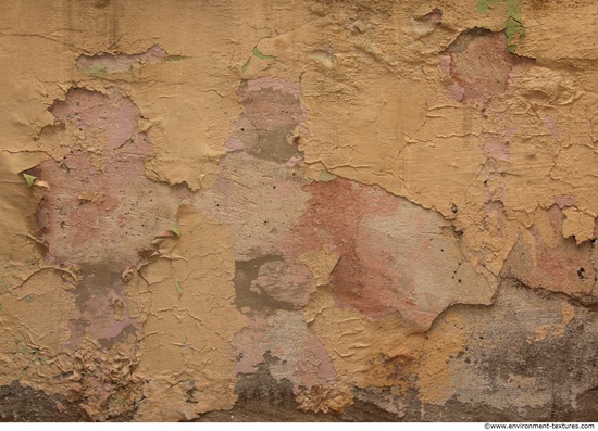 Wall Plaster Paint Peeling