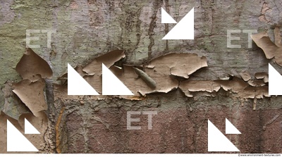 Wall Plaster Paint Peeling