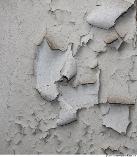 Wall Plaster Paint Peeling