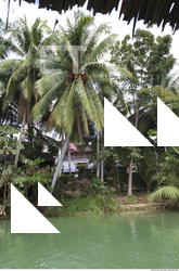 Background Nature 0028