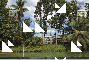 Background Nature 0029