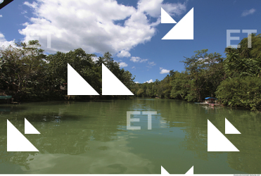 Background Nature 0031