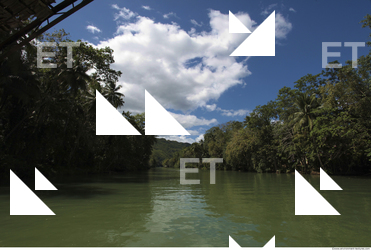 Background Nature 0032