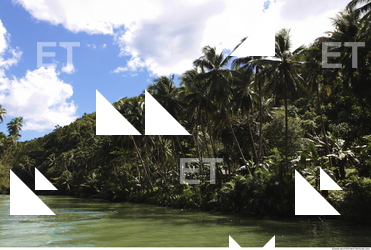 Background Nature 0033