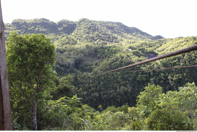 Background Forests