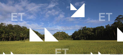 Background Nature 0039