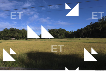 Background Nature 0040