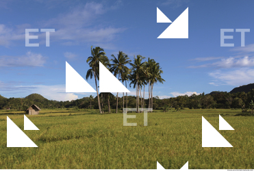 Background Nature 0041