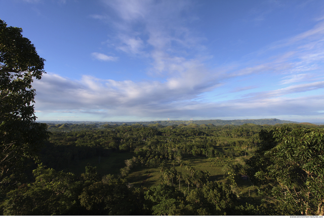 Background Forests