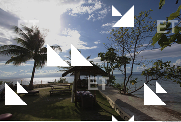 Background Nature 0051