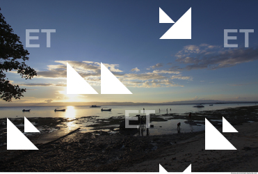 Background Nature 0052