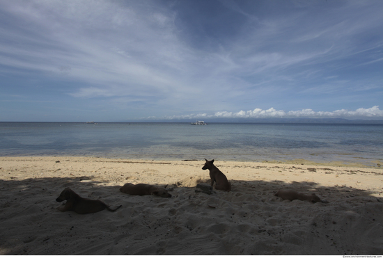 Background Beach