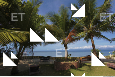 Background Nature 0062