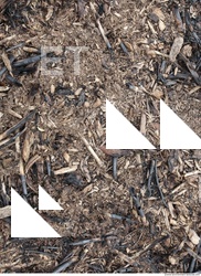 Wood Chips
