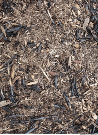 Wood Chips