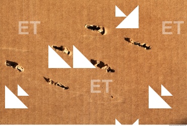 Damaged Cardboard