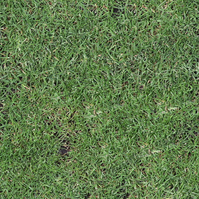 Seamless Grass