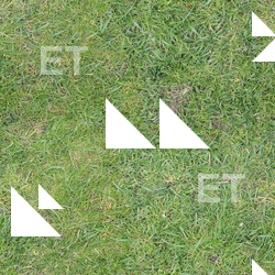 Seamless Grass